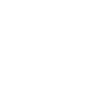 Beach Cruiser